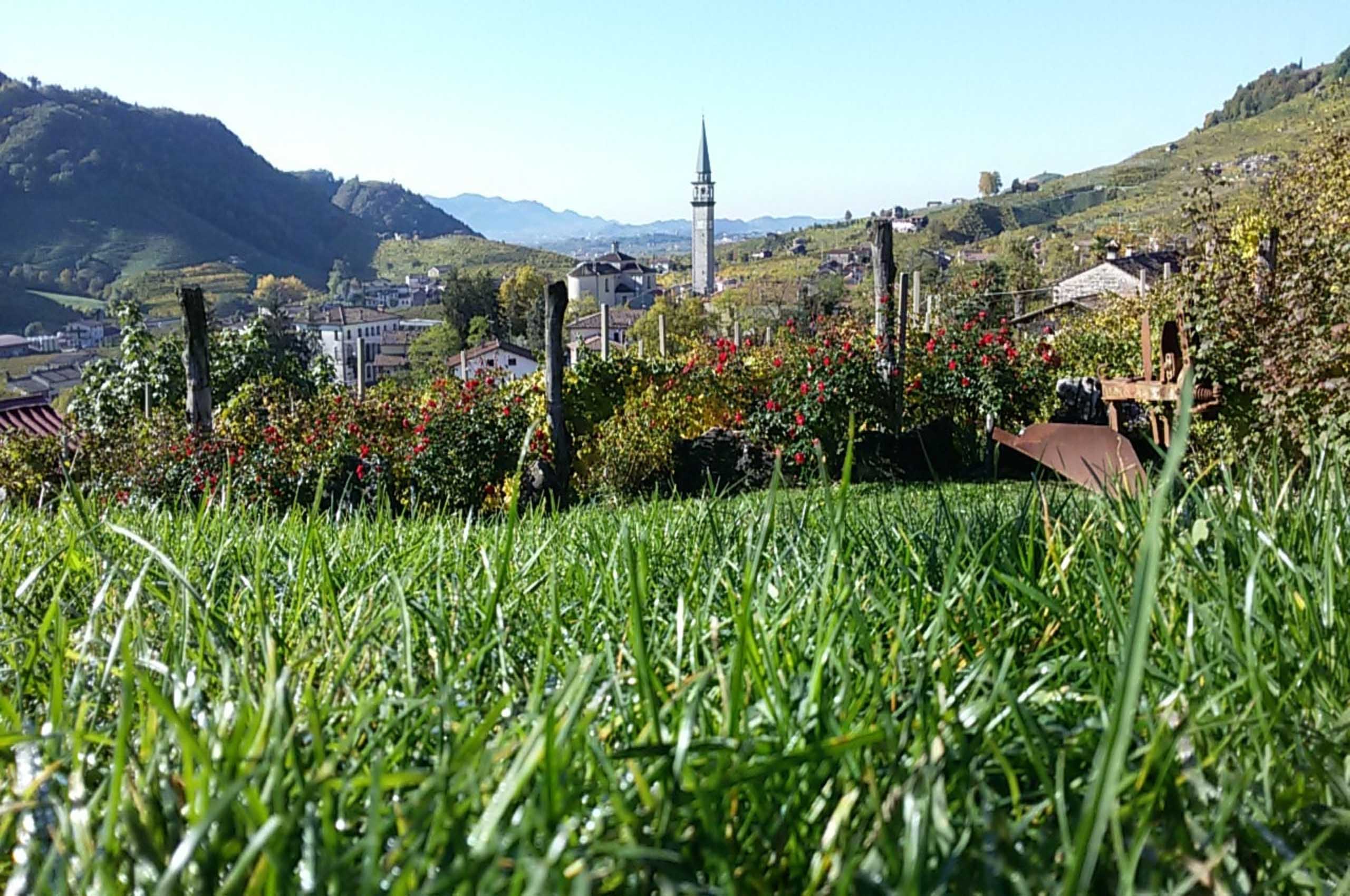 Vista-con-campanile-1 (compressed)