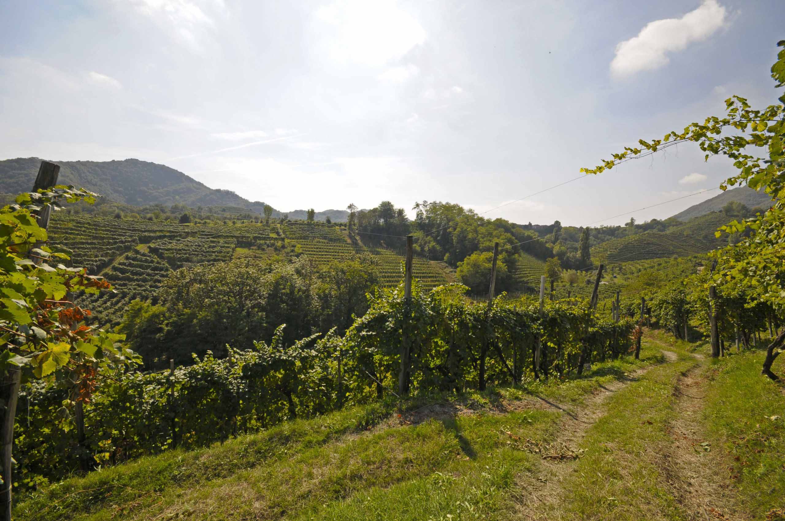 Vista-dei-campi-scaled (compressed)